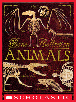 cover image of Bone Collection